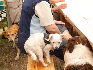 2009-05-24_ntb_1183