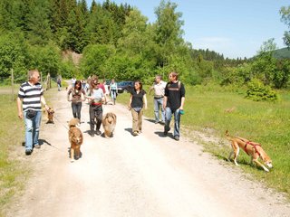 2009-05-24_ntb_1187