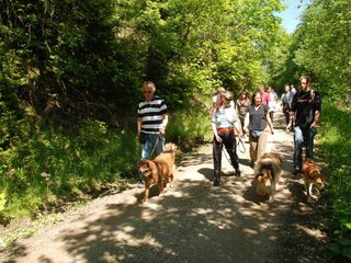 2009-05-24_ntb_1188