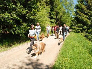 2009-05-24_ntb_1189