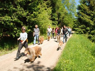 2009-05-24_ntb_1190