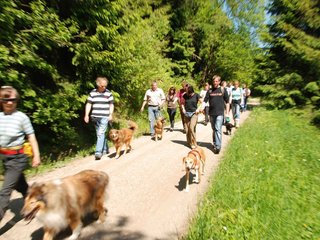 2009-05-24_ntb_1191