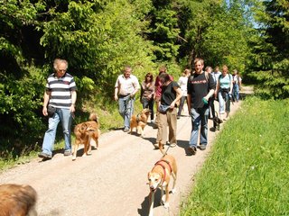 2009-05-24_ntb_1192