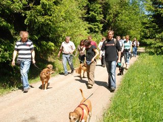 2009-05-24_ntb_1193