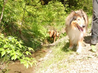 2009-05-24_ntb_1195