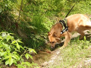 2009-05-24_ntb_1196