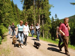 2009-05-24_ntb_1201