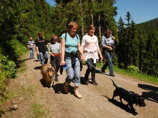 2009-05-24_ntb_1203