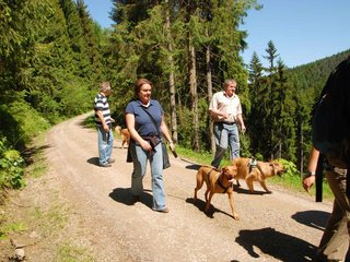 2009-05-24_ntb_1213