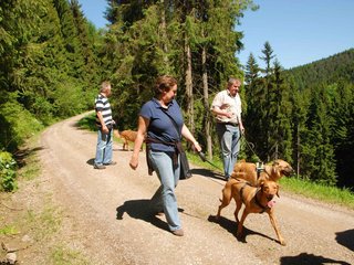 2009-05-24_ntb_1214