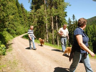 2009-05-24_ntb_1217