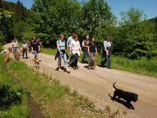 2009-05-24_ntb_1220