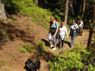 2009-05-24_ntb_1222