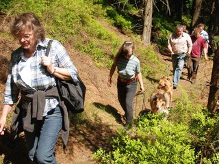 2009-05-24_ntb_1224