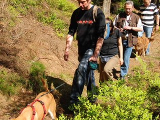 2009-05-24_ntb_1227