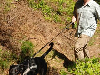 2009-05-24_ntb_1231