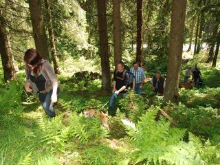 2009-05-24_ntb_1233