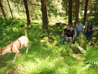 2009-05-24_ntb_1234
