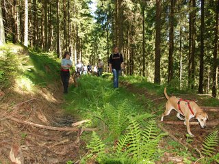 2009-05-24_ntb_1238