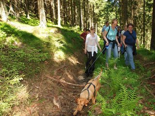 2009-05-24_ntb_1240