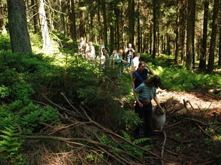 2009-05-24_ntb_1241