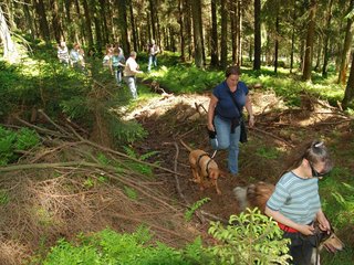 2009-05-24_ntb_1243