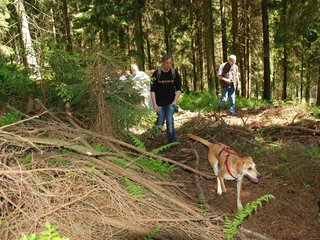 2009-05-24_ntb_1247