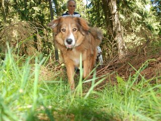 2009-05-24_ntb_1251