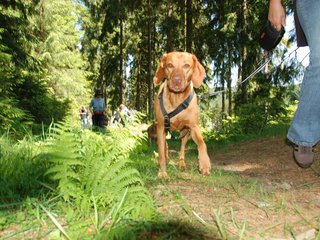 2009-05-24_ntb_1253