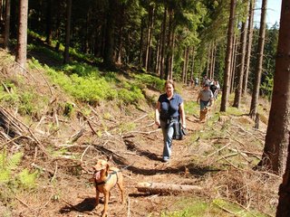 2009-05-24_ntb_1255