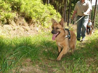 2009-05-24_ntb_1258