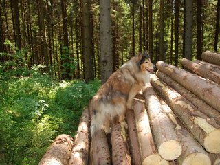 2009-05-24_ntb_1263