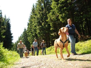 2009-05-24_ntb_1274