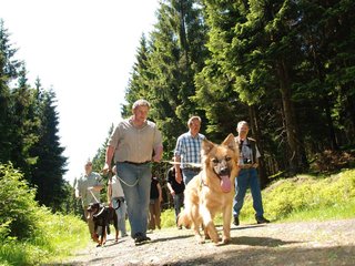 2009-05-24_ntb_1275