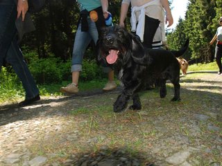 2009-05-24_ntb_1278