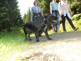 2009-05-24_ntb_1279