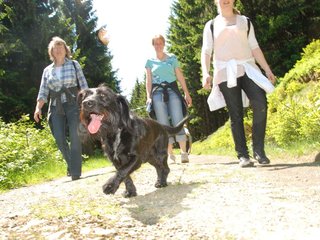 2009-05-24_ntb_1280
