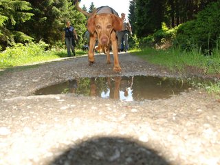 2009-05-24_ntb_1282
