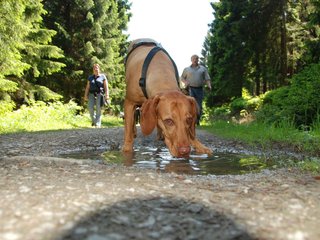 2009-05-24_ntb_1283
