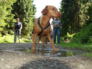 2009-05-24_ntb_1284