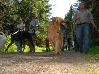 2009-05-24_ntb_1285