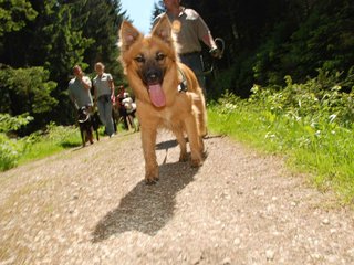 2009-05-24_ntb_1286