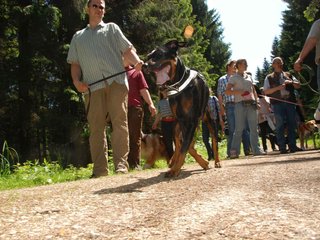 2009-05-24_ntb_1287