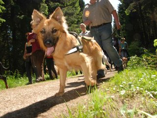 2009-05-24_ntb_1288