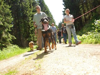 2009-05-24_ntb_1289