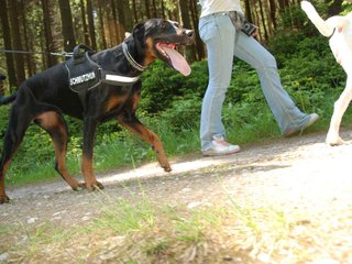 2009-05-24_ntb_1290
