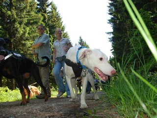2009-05-24_ntb_1291