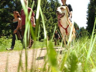 2009-05-24_ntb_1293