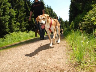 2009-05-24_ntb_1294