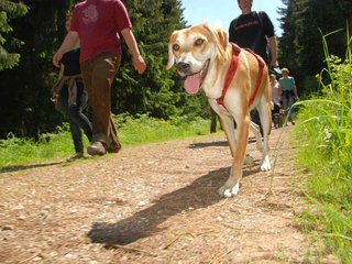 2009-05-24_ntb_1295